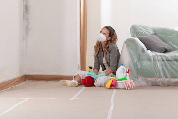 Reliable Mold Inspection And Testing contractor in Brighton, MI by 24 Hour Mold Removal